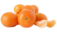 SA Mandarin