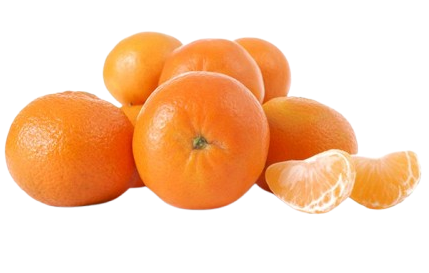 SA Mandarin