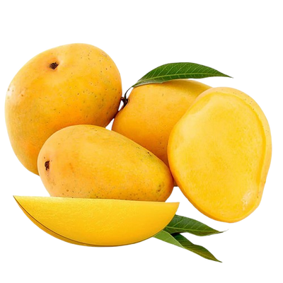 Indian Mango Alphonso