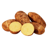 Potato Uzbekistan