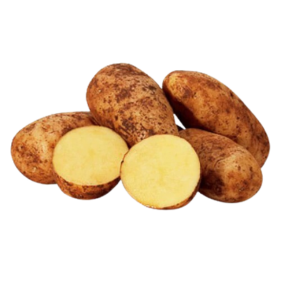 Potato Uzbekistan