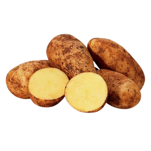 Potato Uzbekistan