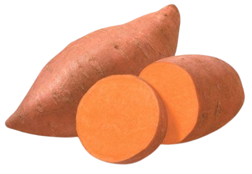 Sweet Potato