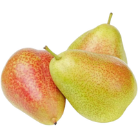 Pear Forelle