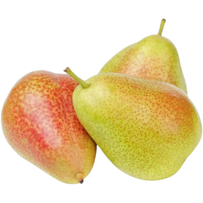 Pear Forelle