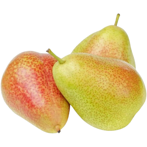 Pear Forelle