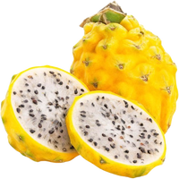 Fresh Dragon Yellow