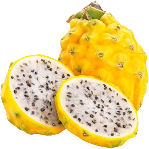 Fresh Dragon Yellow