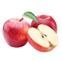 Apple Pink Lady
