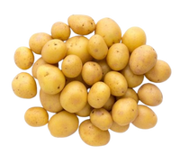 Young Potato