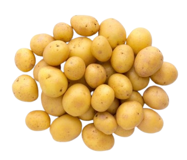 Young Potato