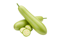 Bottle Gourd