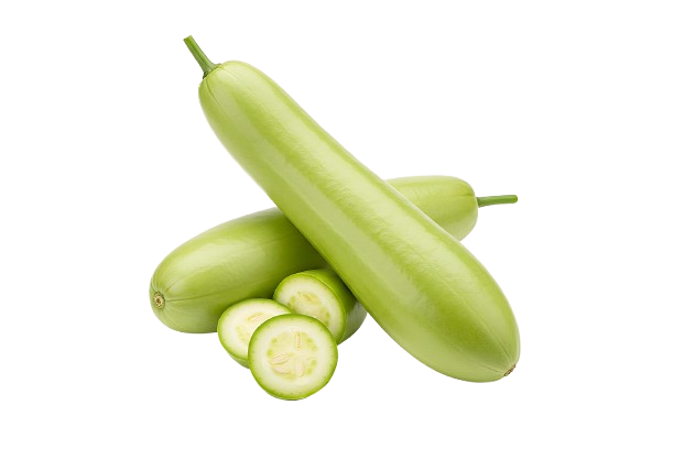 Bottle Gourd