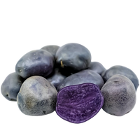 Potato Purple