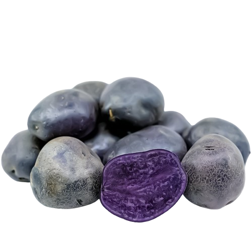 Potato Purple