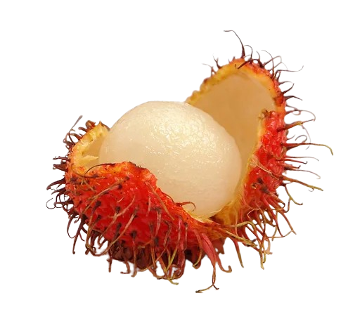 Rambuttan