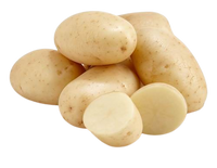 Potato