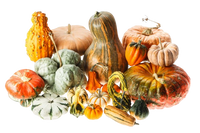 Ornament Pumpkin mix 1 bag
