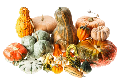 Ornament Pumpkin mix 1 bag