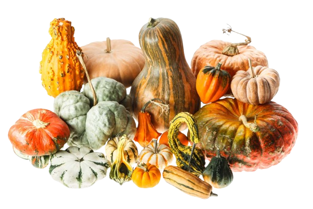 Ornament Pumpkin mix 1 bag