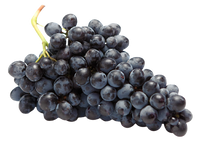 Black Kish-Mish Seedless from Uzbekistan