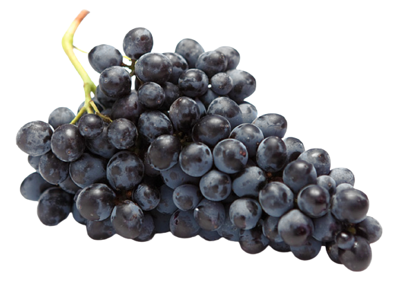 Black Kish-Mish Seedless from Uzbekistan
