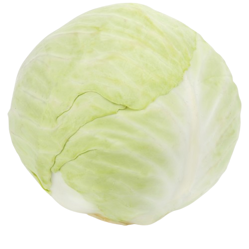 Cabbage  Uzbekistan ( 1 pc)