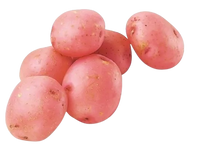 Young potato Red