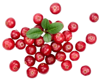 Cranberries