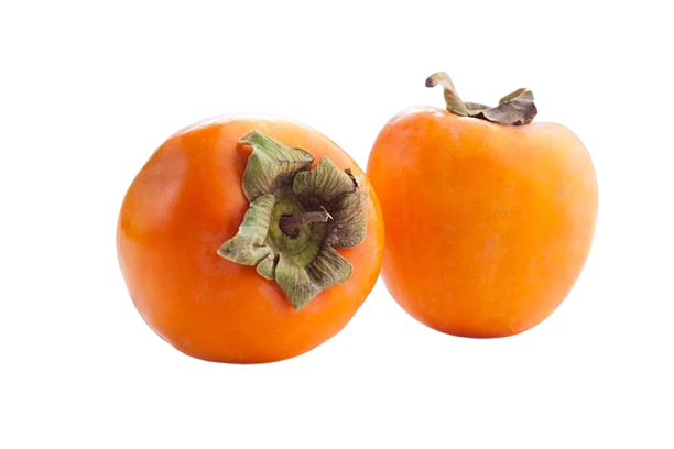 Persimmon