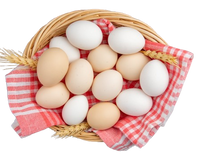 Free Range Eggs Small size 30 pcs