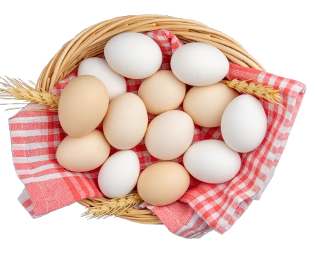 Free Range Eggs Small size 30 pcs