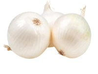 Lebanese White Onion