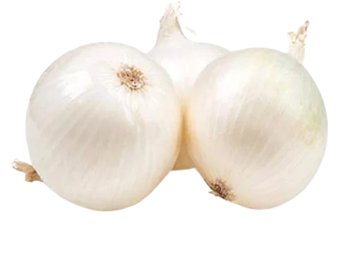Lebanese White Onion