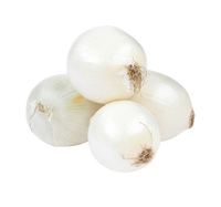 White Onion from Uzbekistan