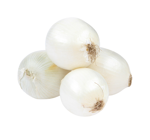 White Onion from Uzbekistan