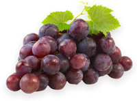 Black Grapes Seedless