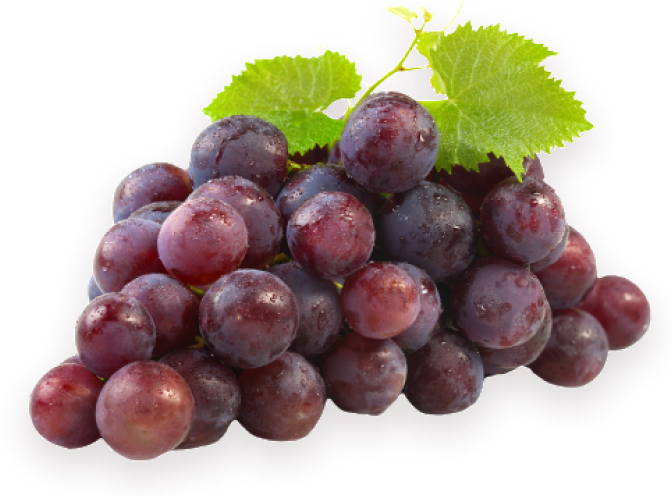 Black Grapes Seedless
