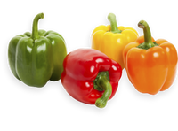 Color Capsicum