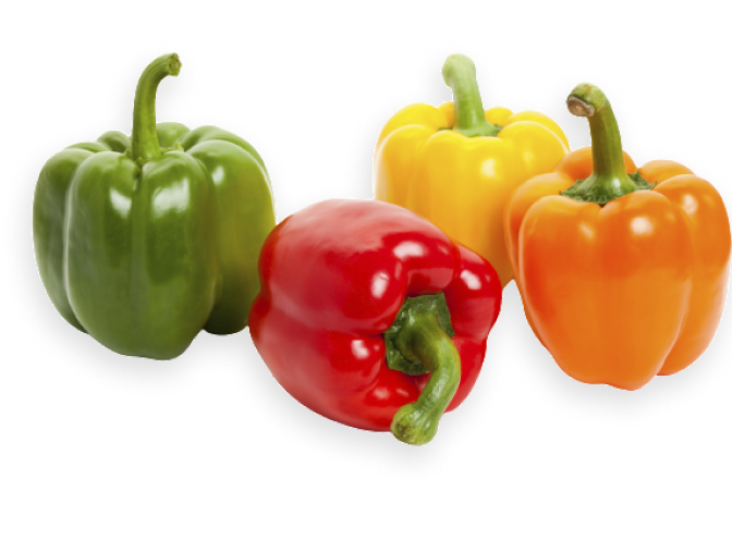 Color Capsicum