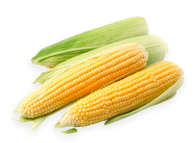 Sweet Corn