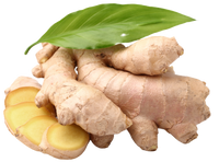 Ginger