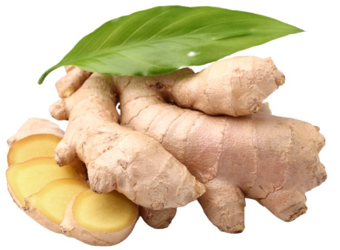 Ginger