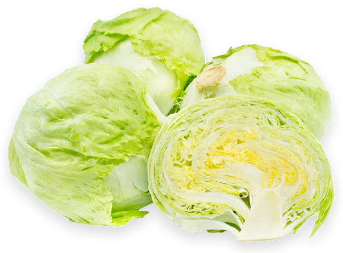White Gabbage 1 pc (1.8-2 kg)
