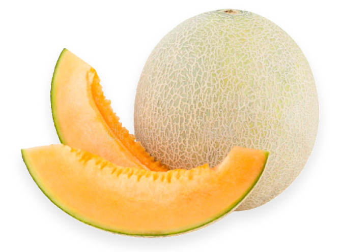 Melon - 1pc