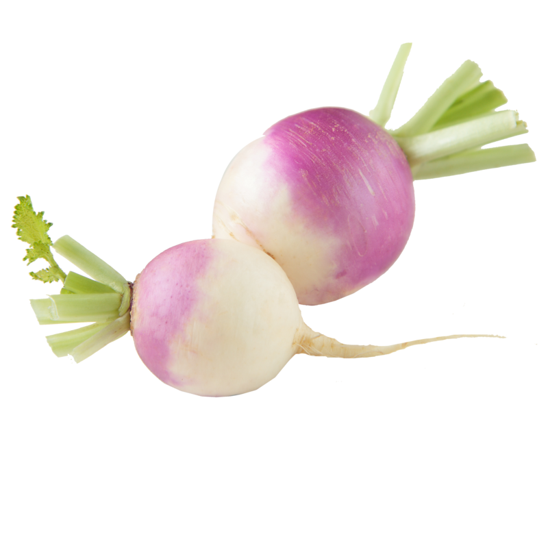 Turnip
