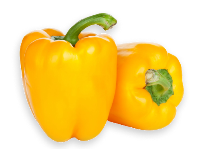 Yellow Capsicum