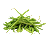 Extra Fine Beans
