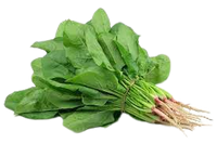 Spinach 1 bunch