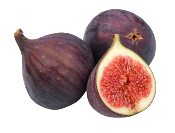 Figs ~ 5pcs